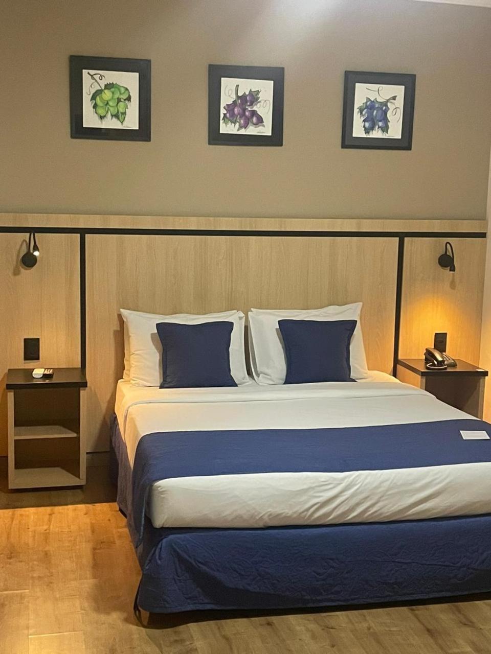 Summit Suites Hotel Jundiaí Dış mekan fotoğraf